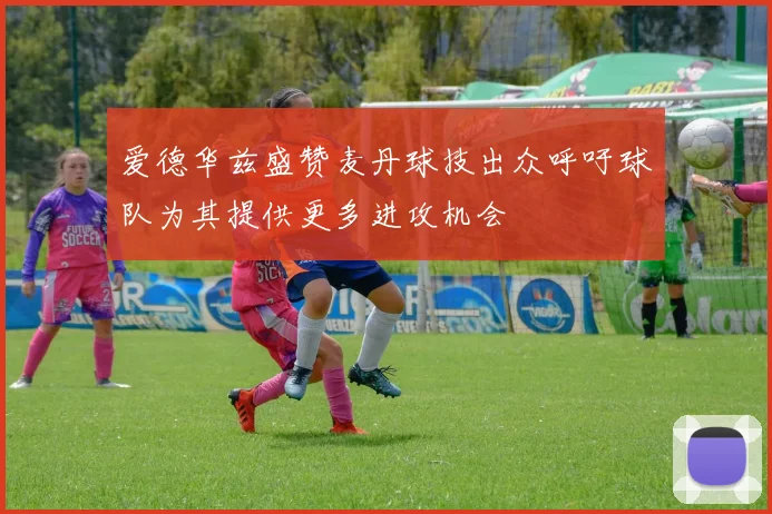 爱德华兹盛赞麦丹球技出众呼吁球队为其提供更多进攻机会