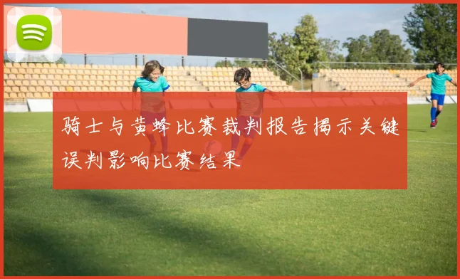 骑士与黄蜂比赛裁判报告揭示关键误判影响比赛结果